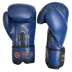 Osta Fighter Forever EVO Lasten nyrkkeilyhanskat Twins Finlandilta